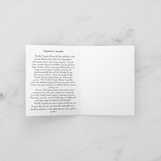 Prickly Poppy - Native Notecard Karte (Innenseite)