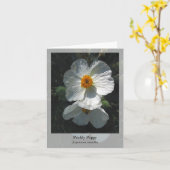 Prickly Poppy - Native Notecard Karte (Gelbe Blume)
