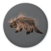 Prickly Porky Keramikknauf (Vorderseite)