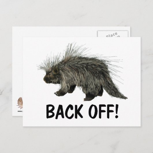 Prickly Porky Postkarte (Vorne/Hinten)