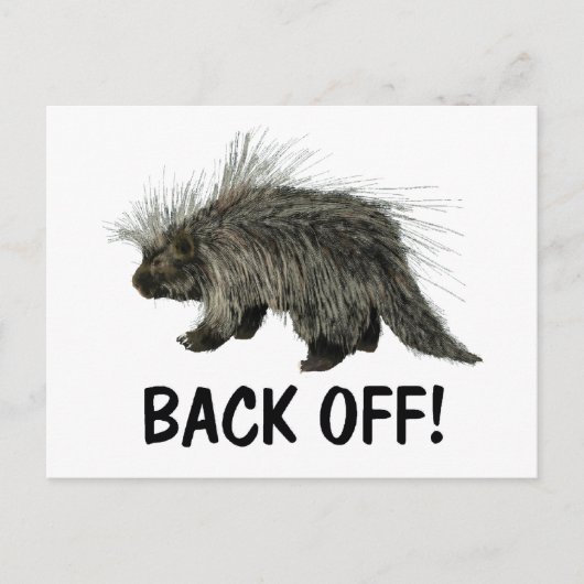 Prickly Porky Postkarte (Vorderseite)