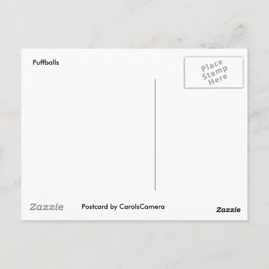 Prickly Puffs Mushroom Postcard Postkarte (Rückseite)