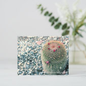 Prickly Ventura Postkarte (Stehend Vorderseite)