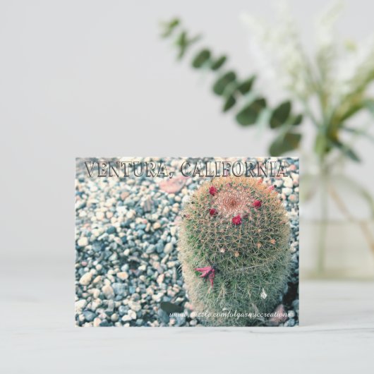 Prickly Ventura Postkarte (Stehend Vorderseite)