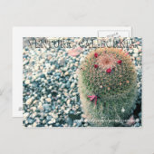 Prickly Ventura Postkarte (Vorne/Hinten)