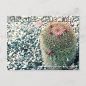 Prickly Ventura Postkarte (Vorderseite)