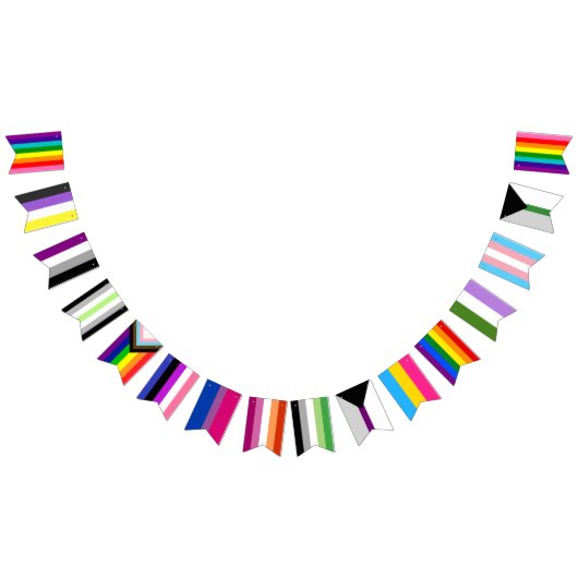 Pride Flag Assortment Garland Wimpelkette (Alle)