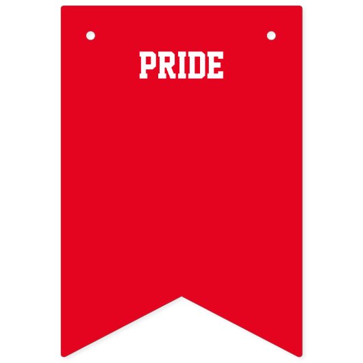 PRIDE GAY LGBTQ Banner (Erste Fahne)