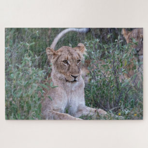 Pride Guardian – Ruhende Löwin Puzzle