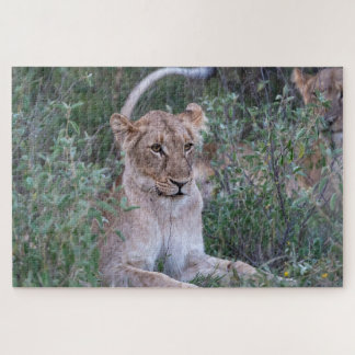Pride Guardian – Ruhende Löwin Puzzle