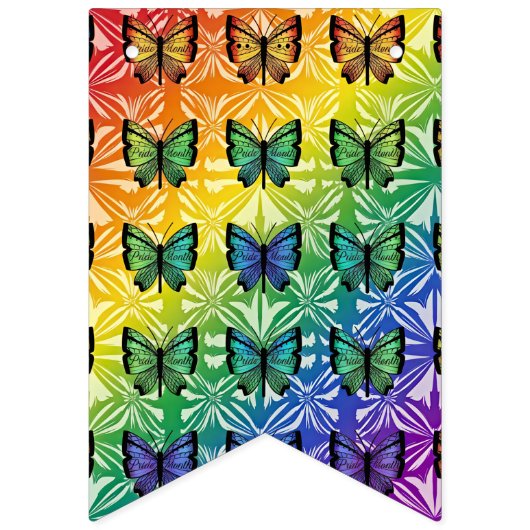 Pride in Flight Kollektion Wimpelkette (Zweite Fahne)