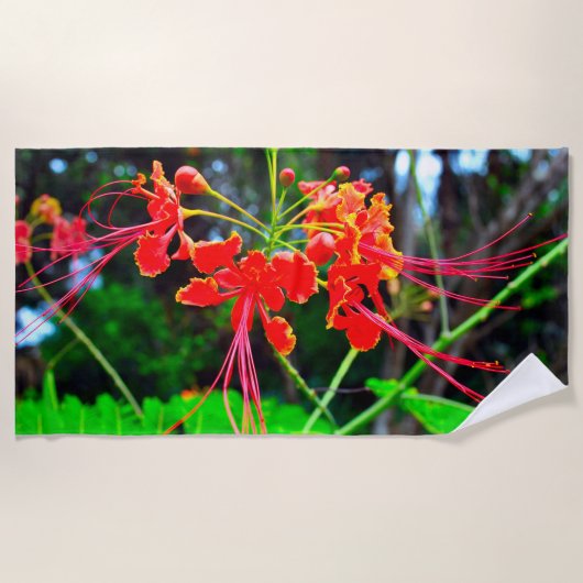 Pride of Barbados   Strandtuch (Vorderseite)