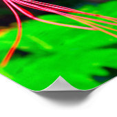 Pride of Barbados Stretched Canvas Print Poster (Ecke)