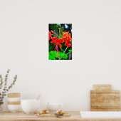 Pride of Barbados Stretched Canvas Print Poster (Küche)