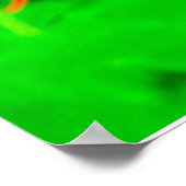 Pride of Barbados Stretched Canvas Print Poster (Ecke)