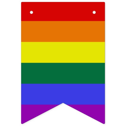 Pride Rainbow Bunting Wimpelkette (Erste Fahne)