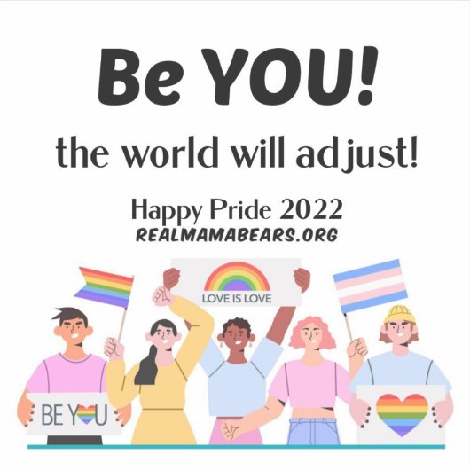 Pride Vinyl Sticker (Vorderseite)