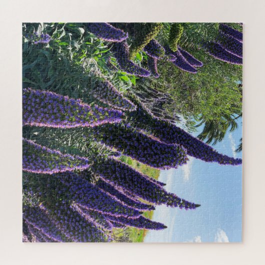 Pride von Madeira Puzzle (Horizontal)