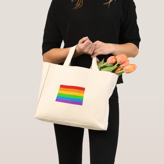PrideMini: Rainbow Pride Mini Stoffbeutel (Vorderseite (Produkt))