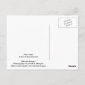 Prim Point Lighthouse Postkarte (Rückseite)