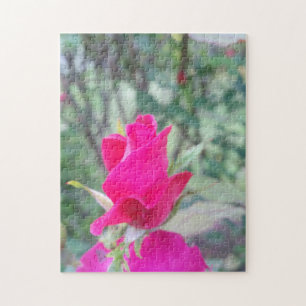 Prim Puzzle