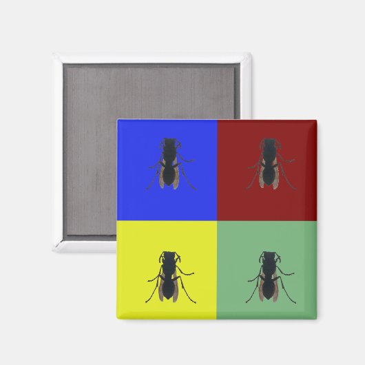 Primärflügel Magnet (Vorderseite/Rückseite)