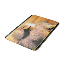 Primat Models: Hamadryas Baboon 01