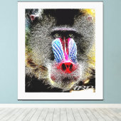 Primat Models: Mandrill Baboon 01-02 Leinwanddruck (Insitu (Holzboden))
