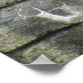 Primat- und Wasserfall-Poster Poster (Ecke)