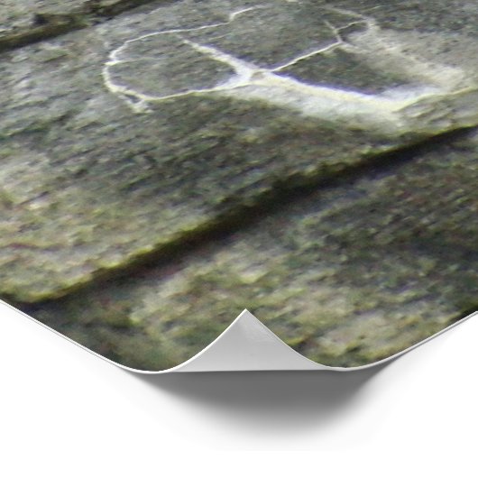 Primat- und Wasserfall-Poster Poster (Ecke)