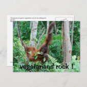 Primat Vegetarians Rock ! Postkarte (Vorne/Hinten)