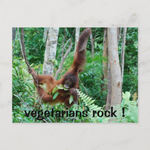 Primat Vegetarians Rock ! Postkarte