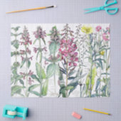 Primel-Katzen-Ohr-Blumen-Wildblumen-Seidenpapier Seidenpapier (Basteln)