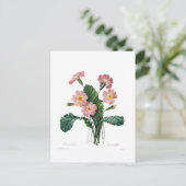 Primel Postkarte (Stehend Vorderseite)