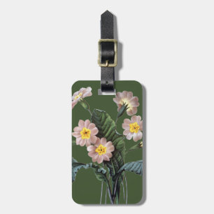 Primel (Primula Aucalis) Gepäckanhänger