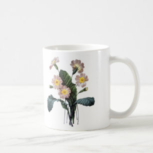 Primel (Primula Aucalis) Kaffeetasse
