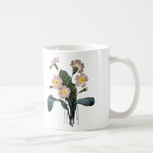 Primel (Primula Aucalis) Kaffeetasse (Rechts)