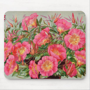 Primel-Samenpackungen-Mauspad Mousepad