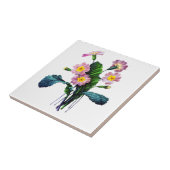 Primevere oder Primroses von Pierre Joseph Redoute Fliese (Seite)