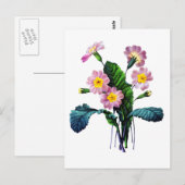 Primevere oder Primroses von Pierre Joseph Redoute Postkarte (Vorne/Hinten)