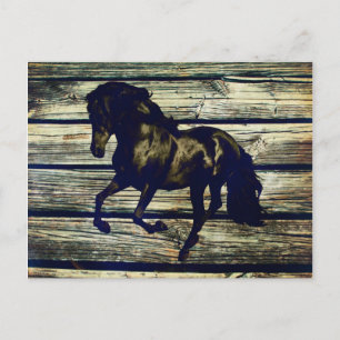 Primitive BarnWood Reittier Schwarzer Hengst Pferd Postkarte