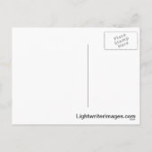 Primitive Santa Claus Feiertagspostkarte (Rückseite)