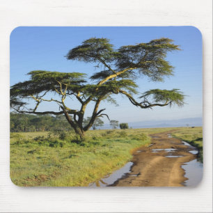 Primitive Schotterstraße und Akazienbaum, Lake Nak Mousepad