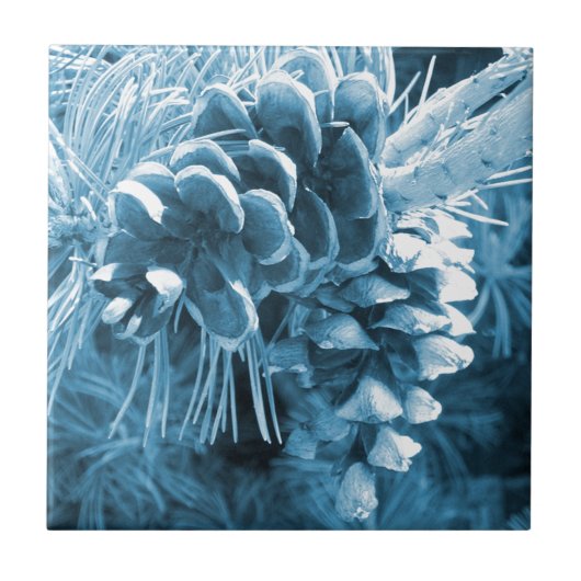 Primitive Weihnachtskiefer Eis Blaupinecon Fliese (Vorderseite)