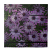 Primitive Western Land Stall plank lila daisy Fliese (Vorderseite)