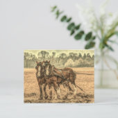 Primitive Western Land Tierzuchtpferde Postkarte (Stehend Vorderseite)