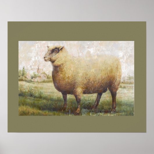 Primitives Schaf Poster (Vorne)