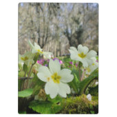 Primrose Clipboard Klemmbrett (Rückseite)