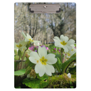 Primrose Clipboard Klemmbrett