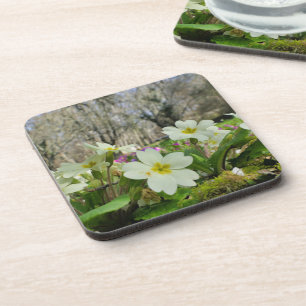Primrose Cork Untersetzer